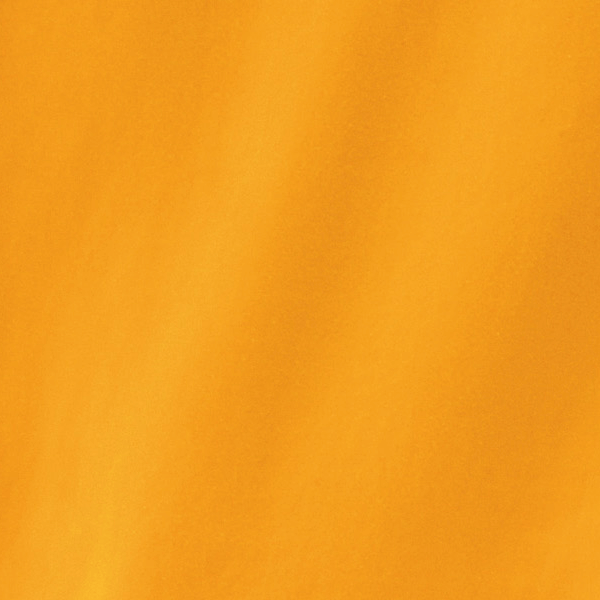 信州の初夏を彩る杏色