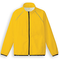 00061-RSJ　ゴールドイエロー