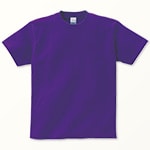 00085-CVT　パープル