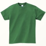 00085-CVT　グリーン