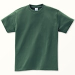 00085-CVT　アイビーグリーン