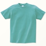 00085-CVT　ミント