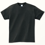 00085-CVT　スモークブラック