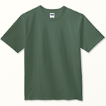 MS1156　アイビーグリーン