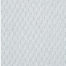 00337　表はなめらか